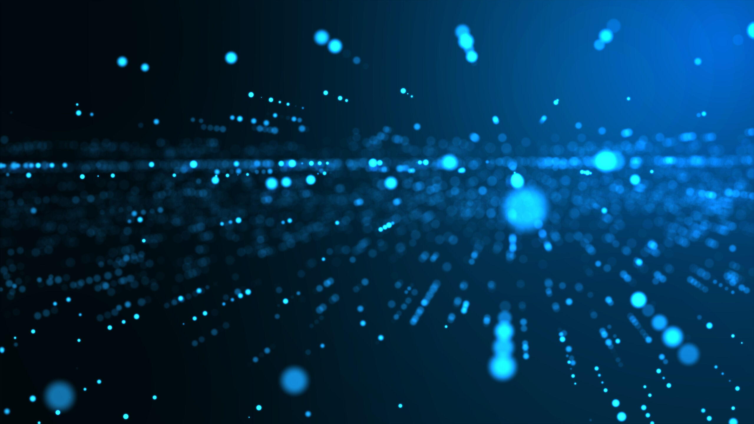 Who, What, Why and How: The Scoop on Network Wholesalers